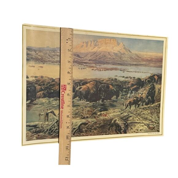 Vintage Wildlife Print Buffalo on the Move Bison Herd Western Americana Art READ - Picture 9 of 9